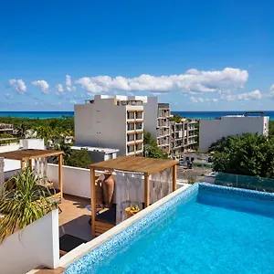 terrasse-hotel-playa-del-carmen.quintano-roohotels.com/